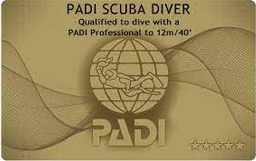スクーバ・ダイバー・コース（PADI Scuba Diver Course）